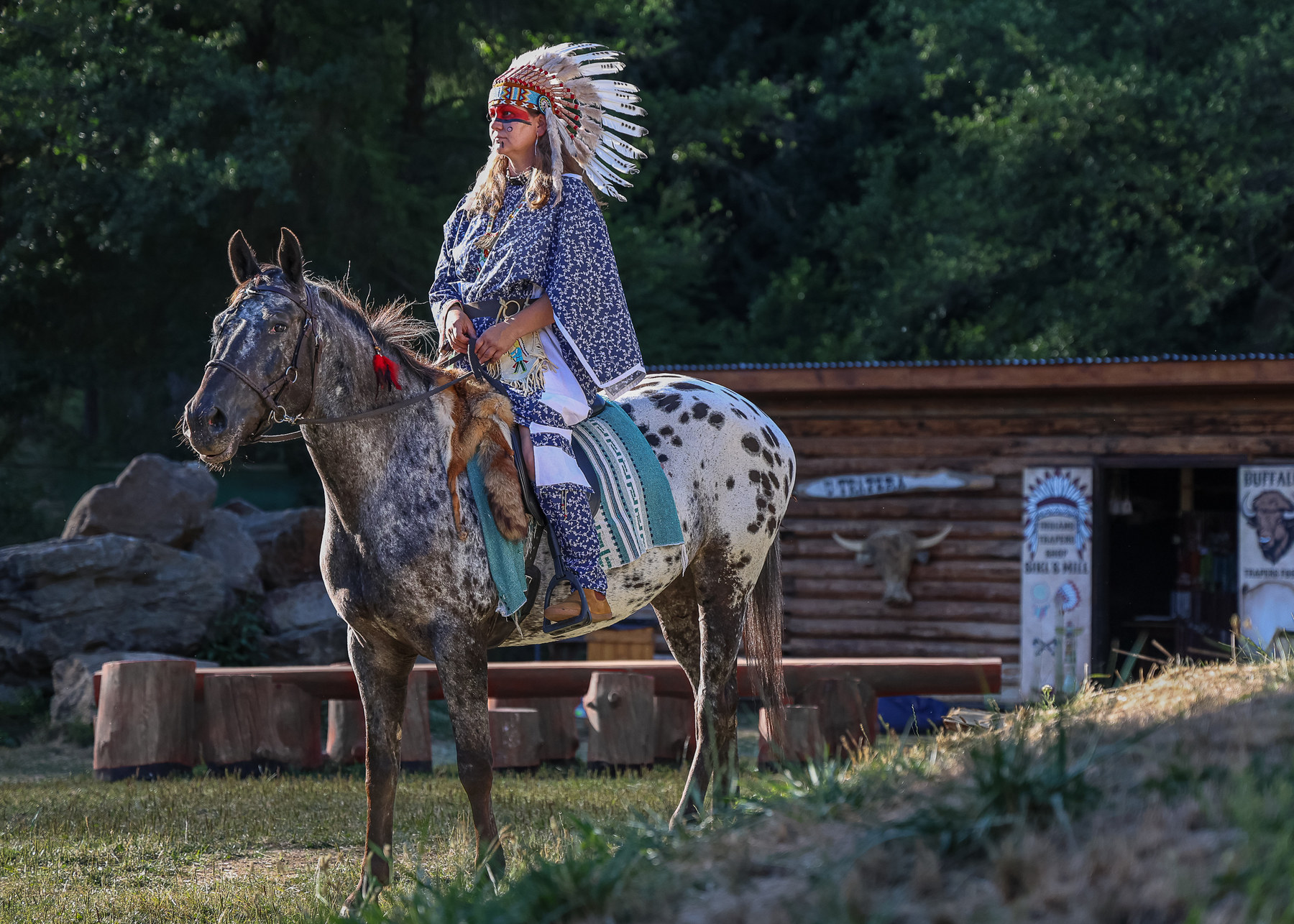 Rider in a feathered headdress and fringed dress seated on an Appaloosa horse beside a log cabin