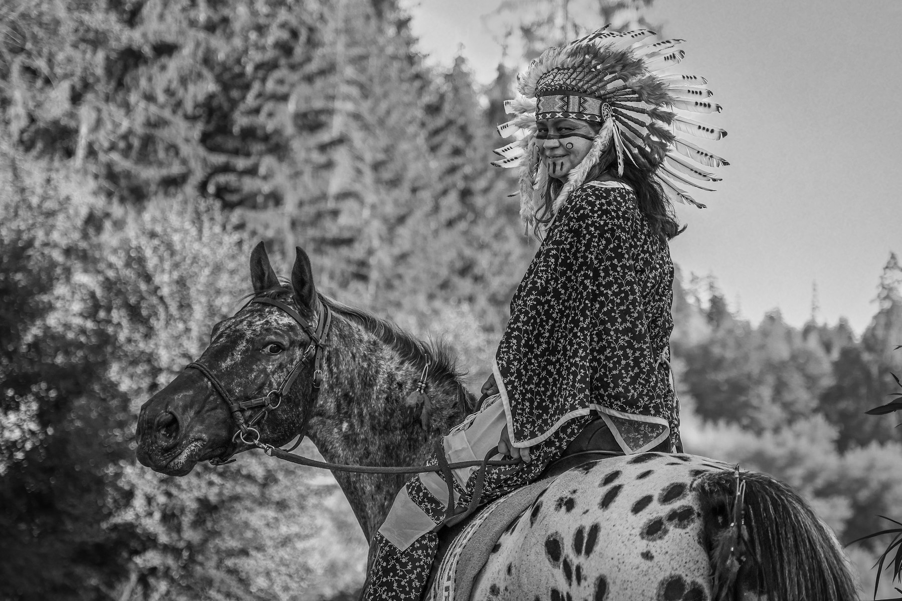 Black-and-white portrait of a rider in a feathered headdress on a spotted Appaloosa horse among pines