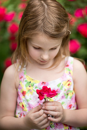Print__RosePhotoSession__ella_LaGrandeAve_2020_PavlinaPerryPhotography__